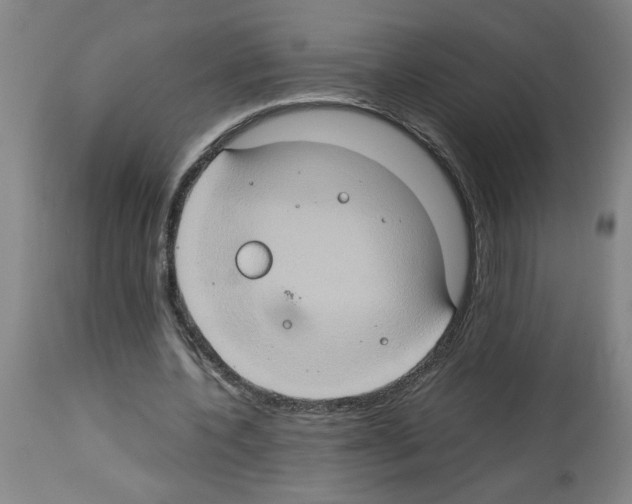 X0000112950532200910051221