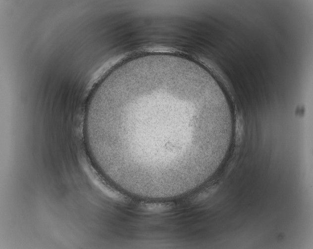 X0000112950533200910051221