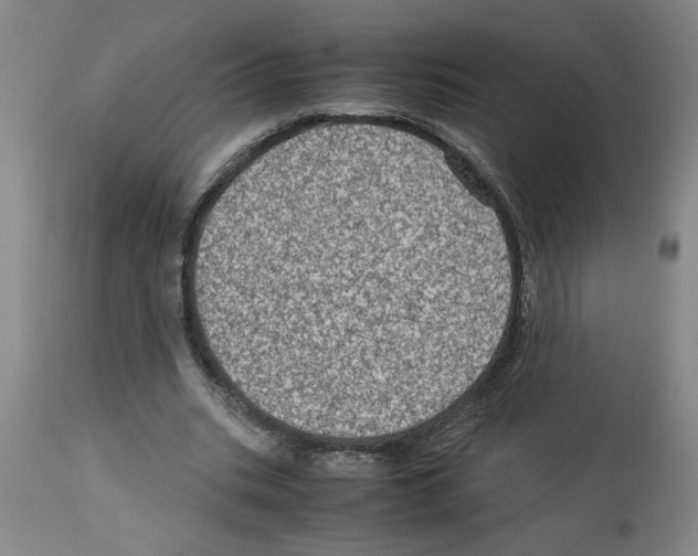 X0000112950535200910051221