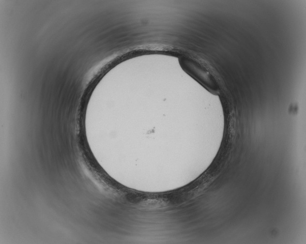 X0000112950536200910051221