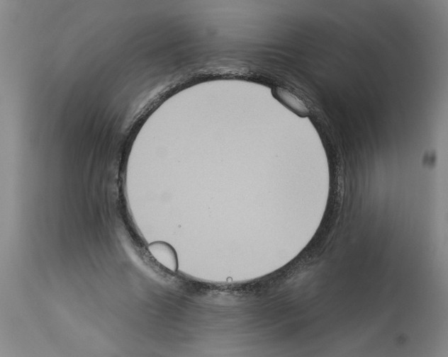 X0000112950538200910051221