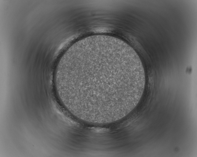 X0000112950539200910051221