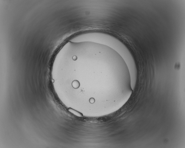 X0000112950540200910051221