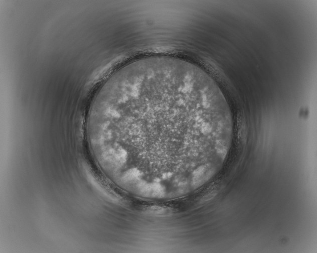 X0000112950542200910051221
