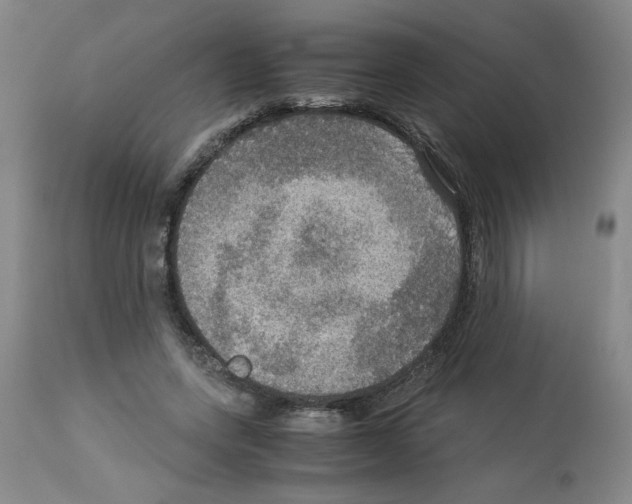 X0000112950543200910051221