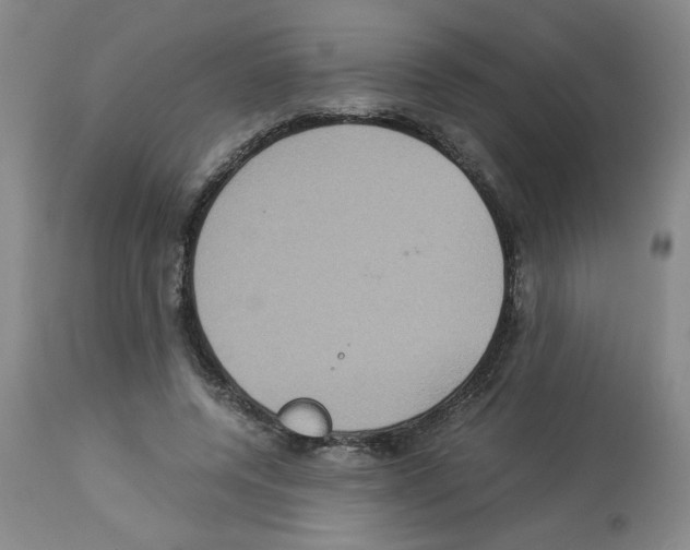 X0000112950544200910051221