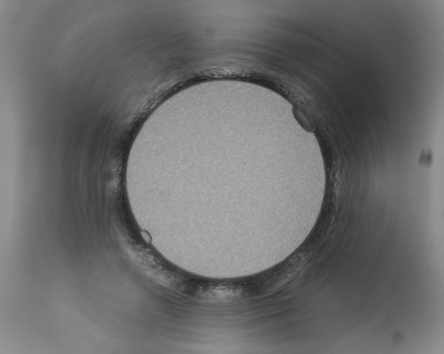 X0000112950546200910051221
