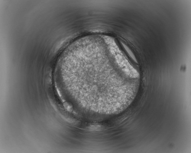 X0000112950547200910051221