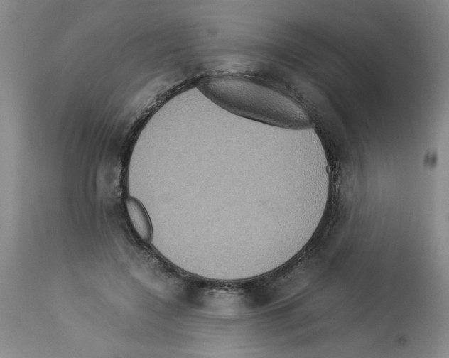 X0000112950548200910051221