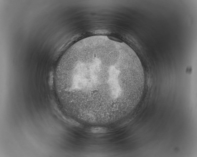 X0000112950549200910051221