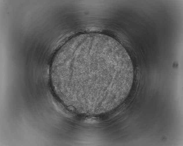 X0000112950550200910051221