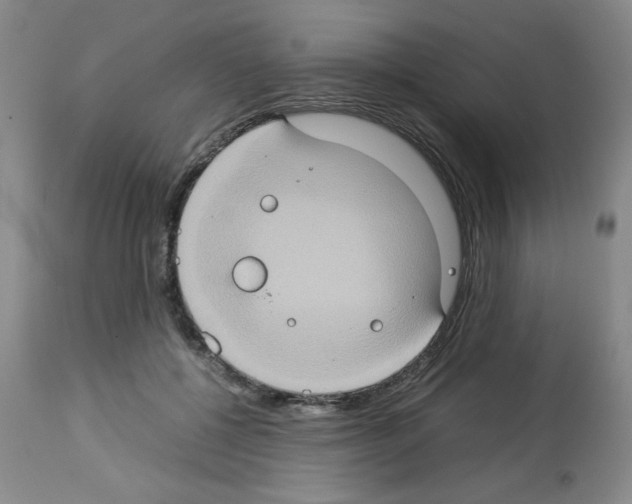 X0000112950552200910051221