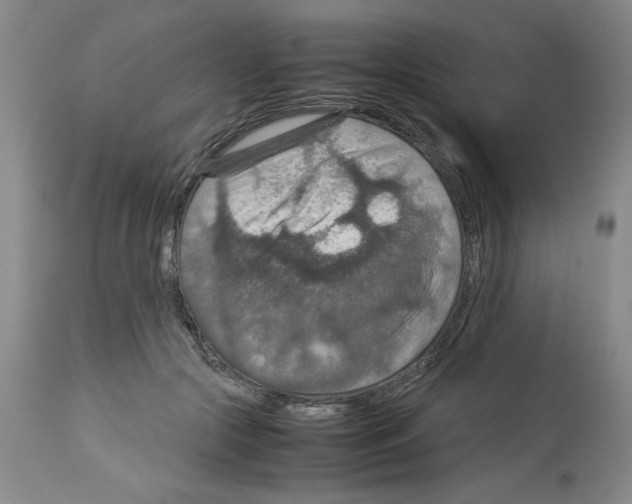 X0000112950553200910051221