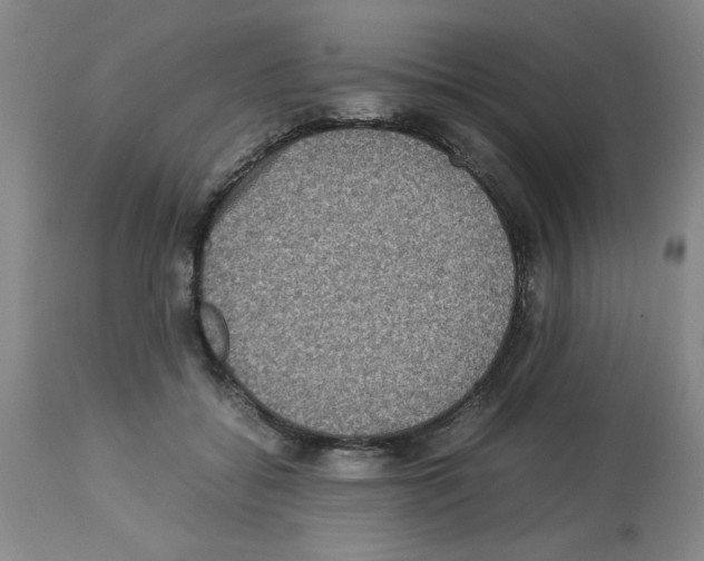 X0000112950556200910051221