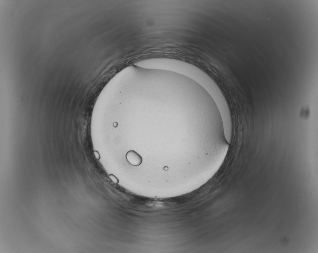 X0000112950558200910051221