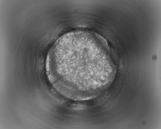 X0000112950559200910051221