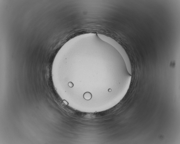 X0000112950562200910051221