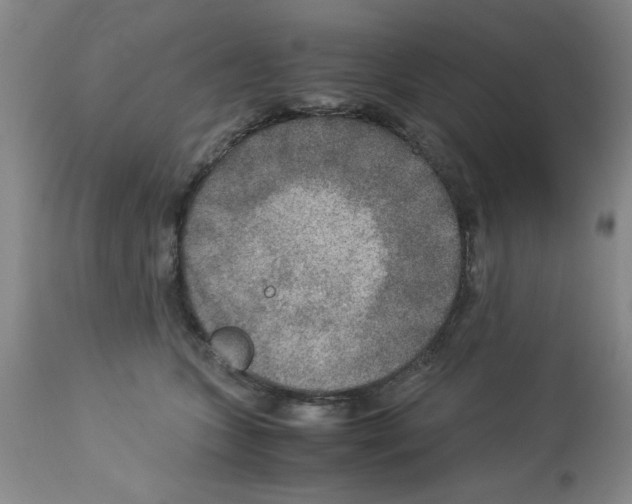 X0000112950563200910051221