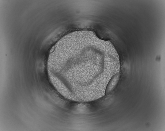 X0000112950566200910051221