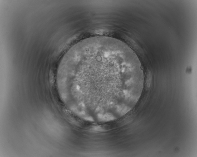 X0000112950569200910051222