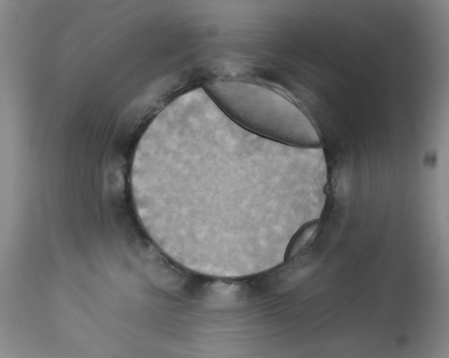 X0000112950570200910051222