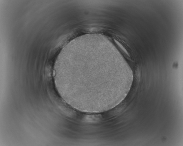 X0000112950571200910051222