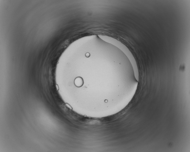 X0000112950572200910051222