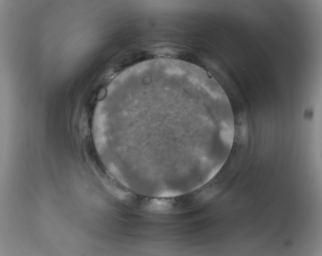 X0000112950573200910051222