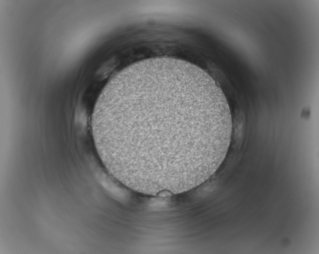 X0000112950574200910051222
