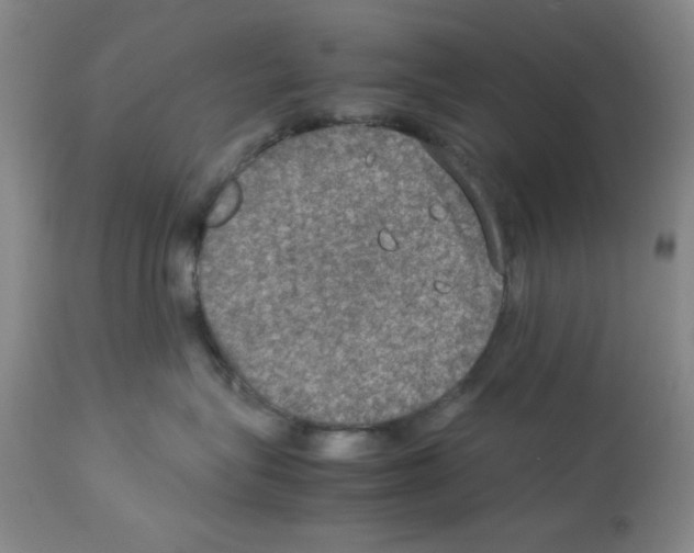 X0000112950575200910051222