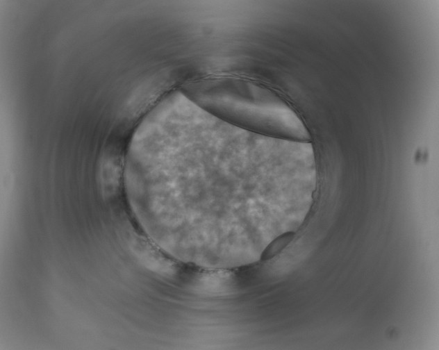 X0000112950576200910051222