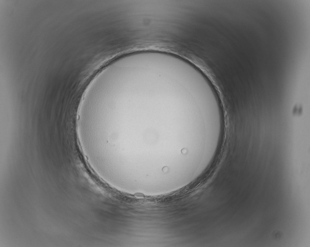 X0000112950577200910051221
