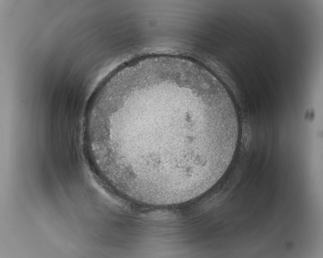X0000112950578200910051221