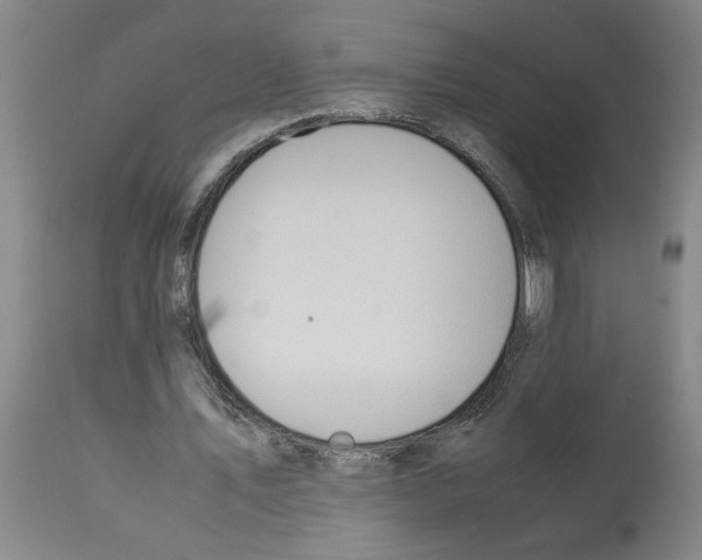 X0000112950579200910051221