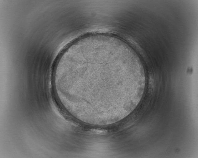X0000112950582200910051221