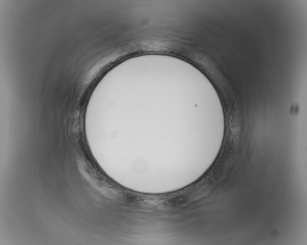 X0000112950583200910051221