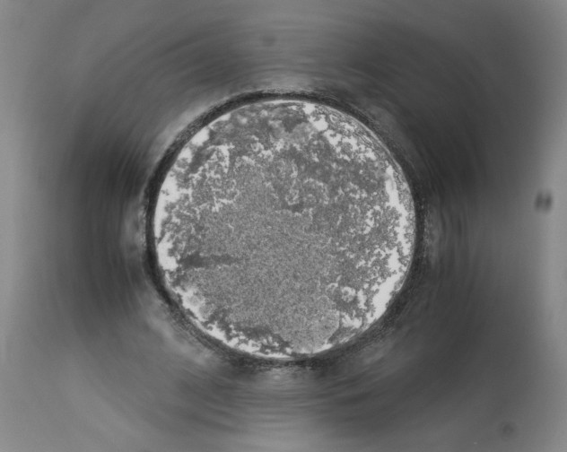 X0000112950584200910051221