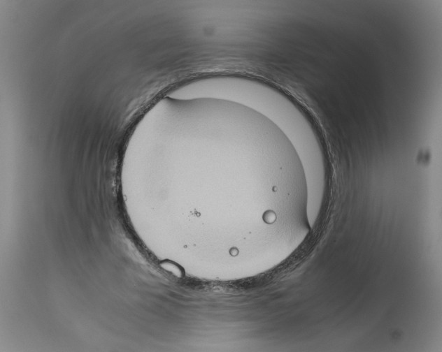 X0000112950585200910051221