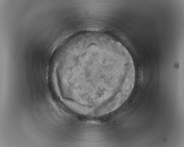 X0000112950586200910051221