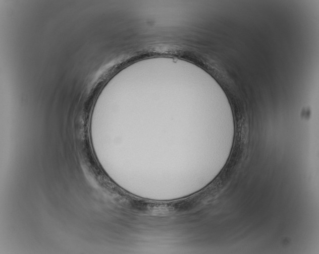 X0000112950587200910051221