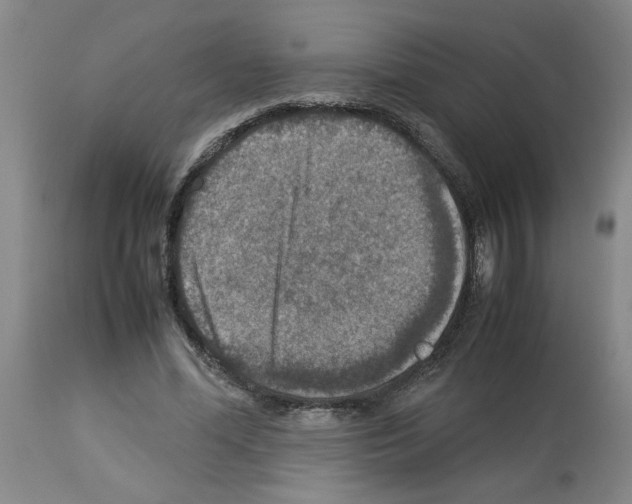 X0000112950588200910051221