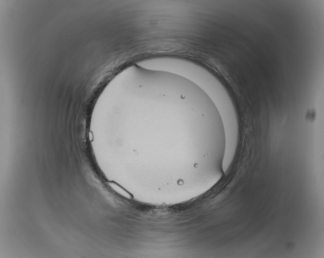 X0000112950589200910051221