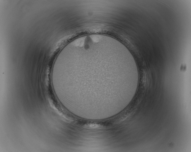 X0000112950590200910051221