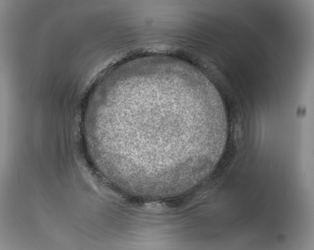 X0000112950591200910051221