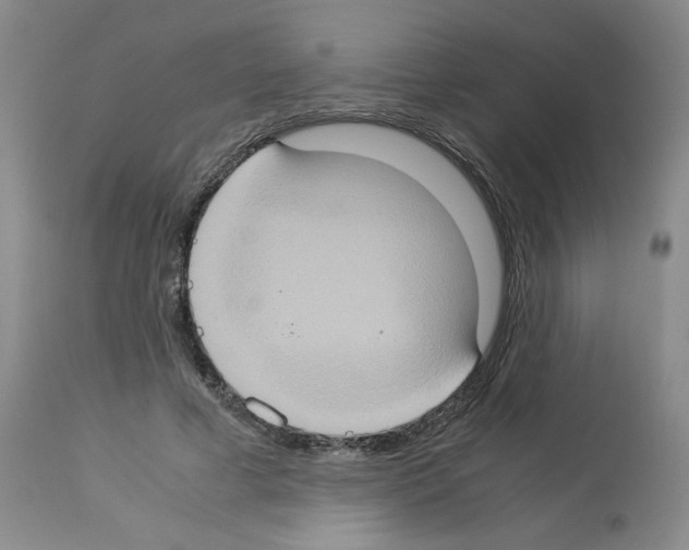 X0000112950593200910051221