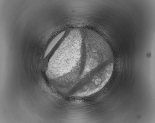 X0000112950594200910051221