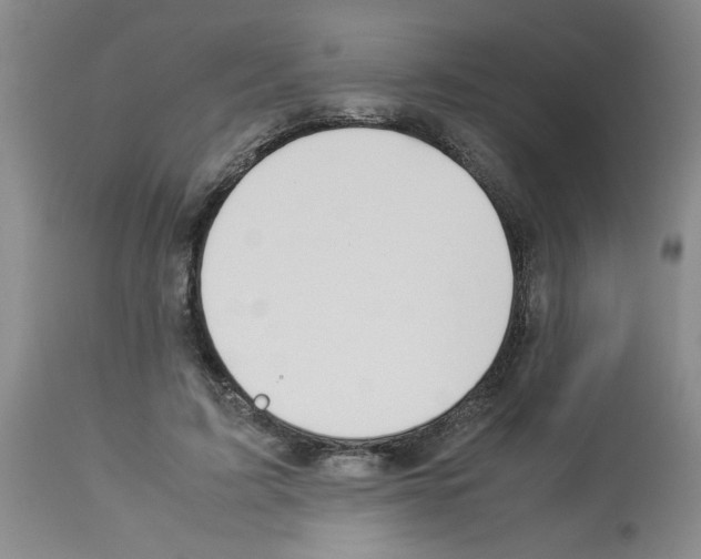 X0000112950595200910051221