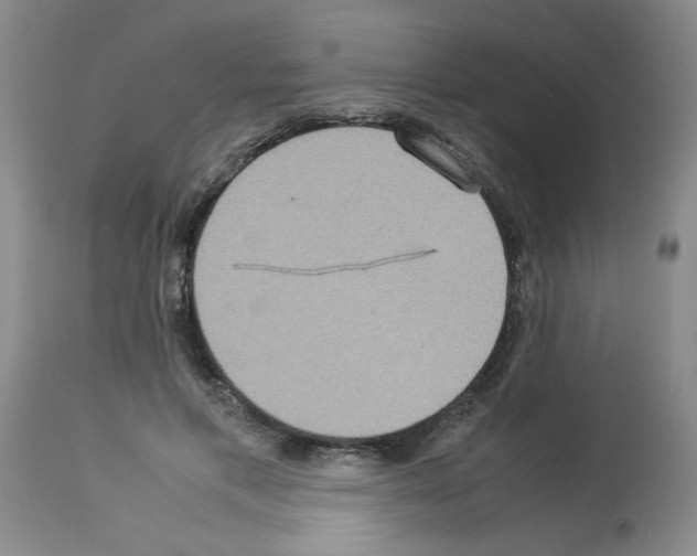 X0000112950597200910051220