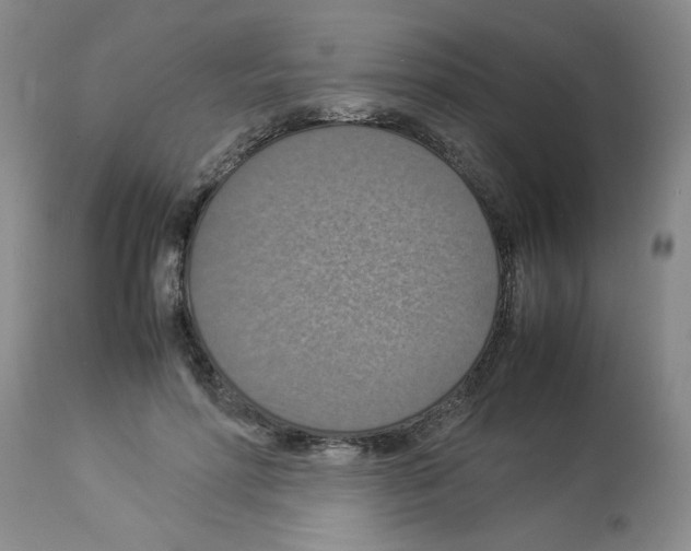 X0000112950598200910051220