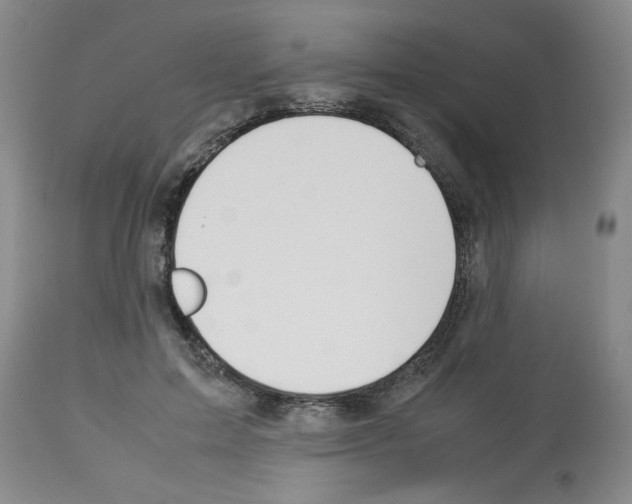 X0000112950599200910051220
